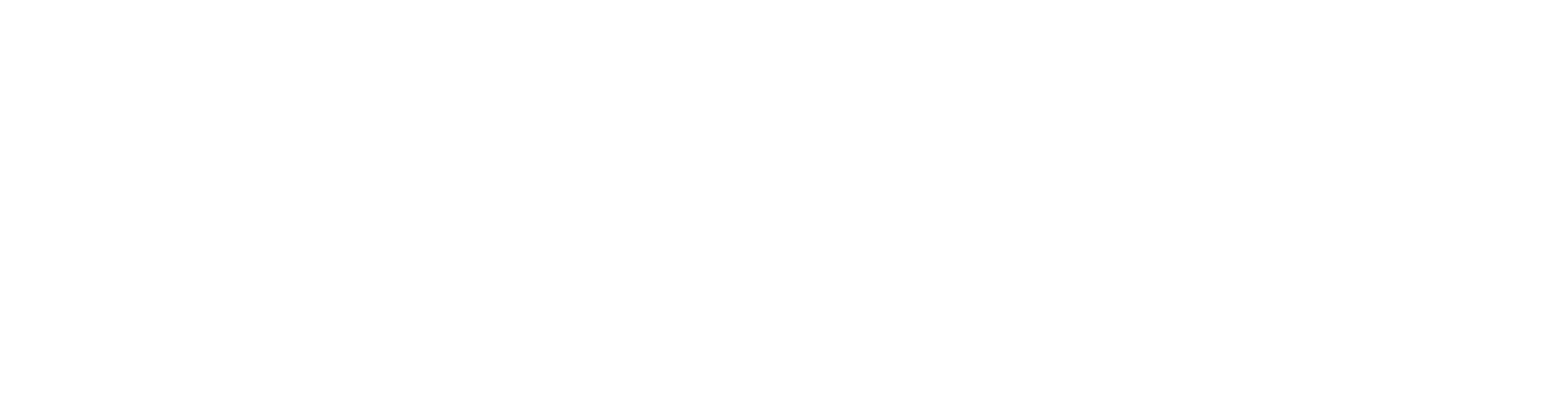 Profix Logo